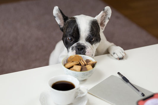 You are killing your dog, with these food habits