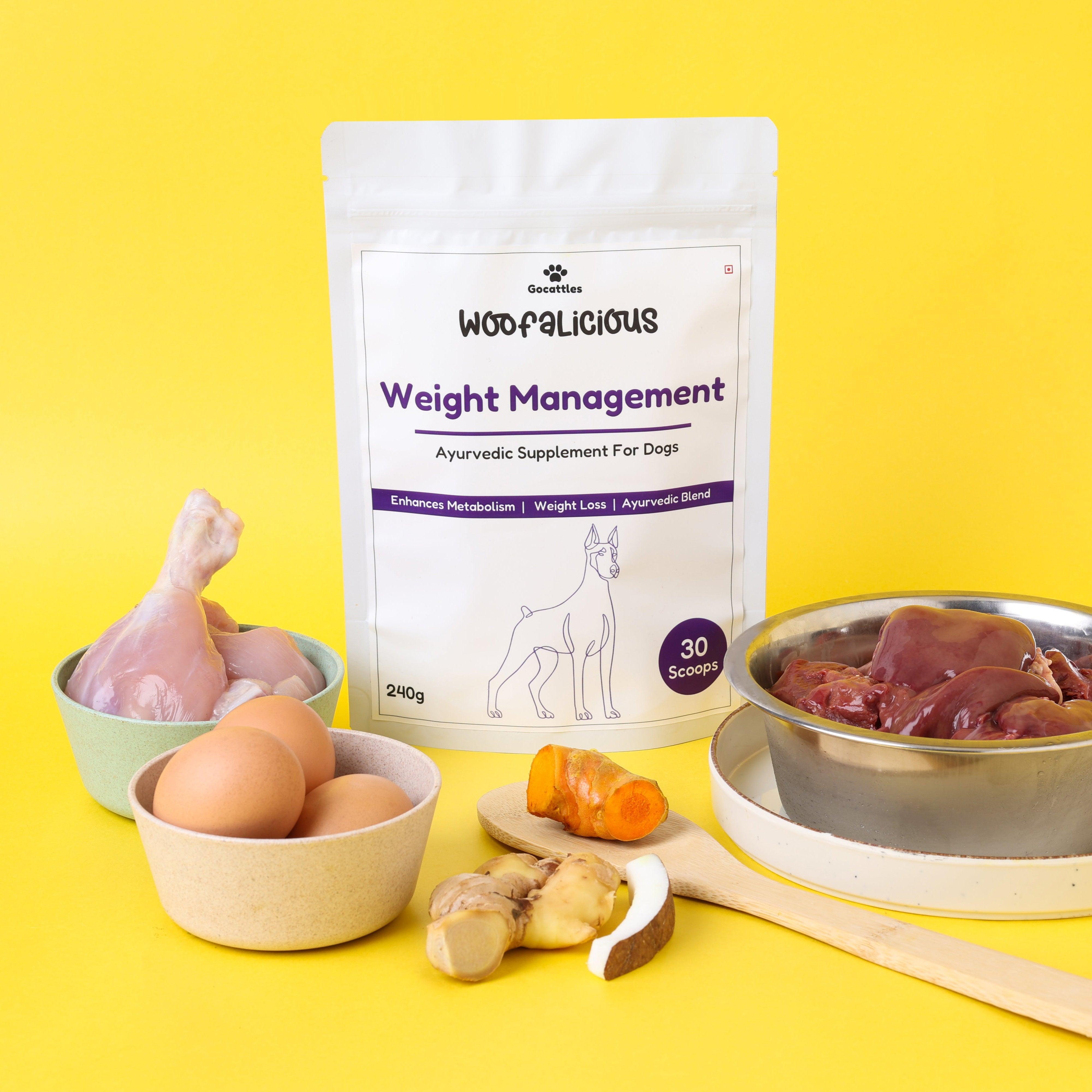 Obesity & Weight Management Supplement for Dogs